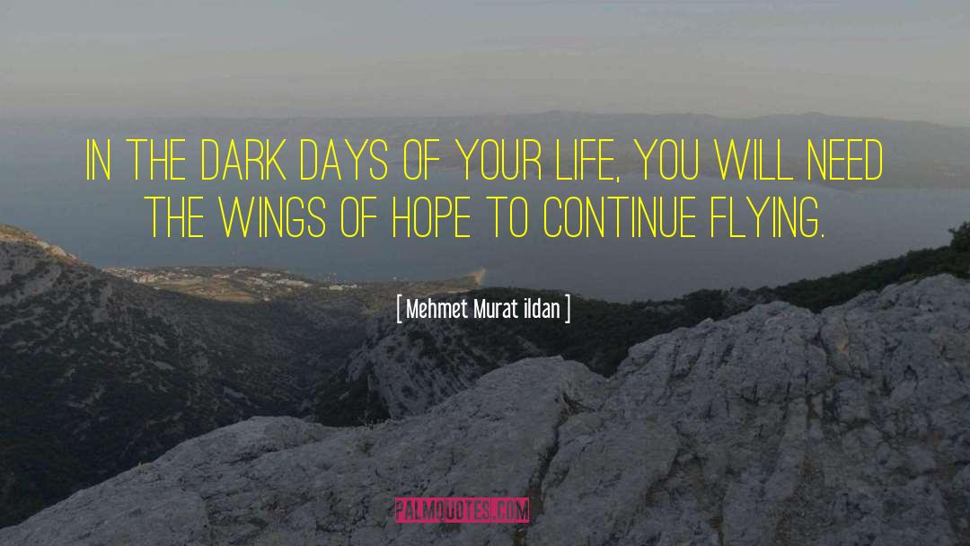 Dark Days quotes by Mehmet Murat Ildan