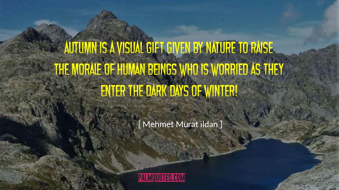 Dark Days quotes by Mehmet Murat Ildan