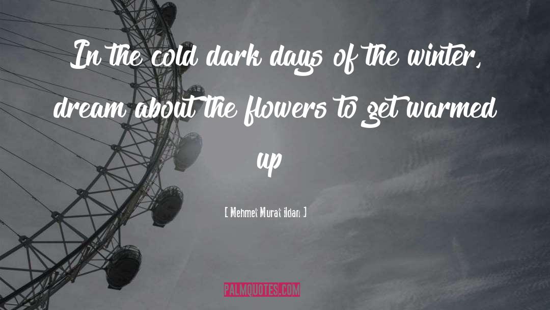 Dark Days quotes by Mehmet Murat Ildan