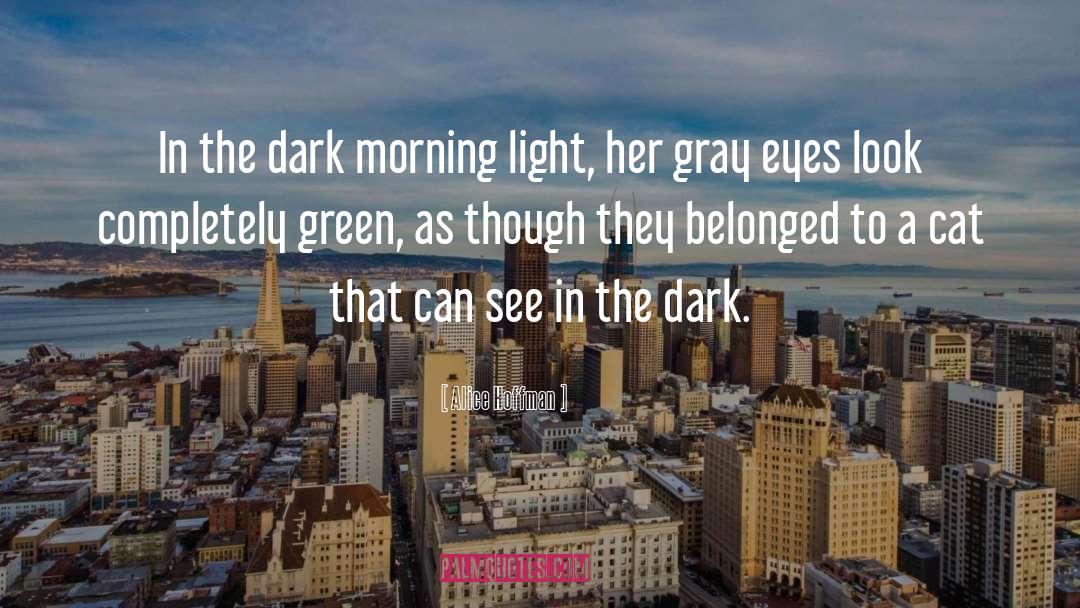 Dark District quotes by Alice Hoffman