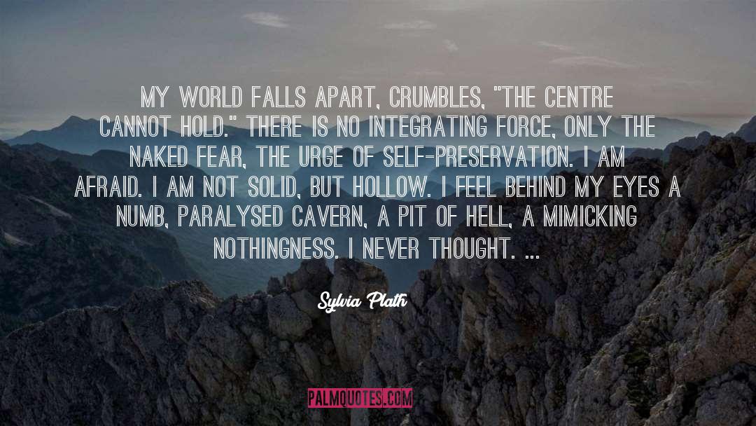 Dark Falls quotes by Sylvia Plath