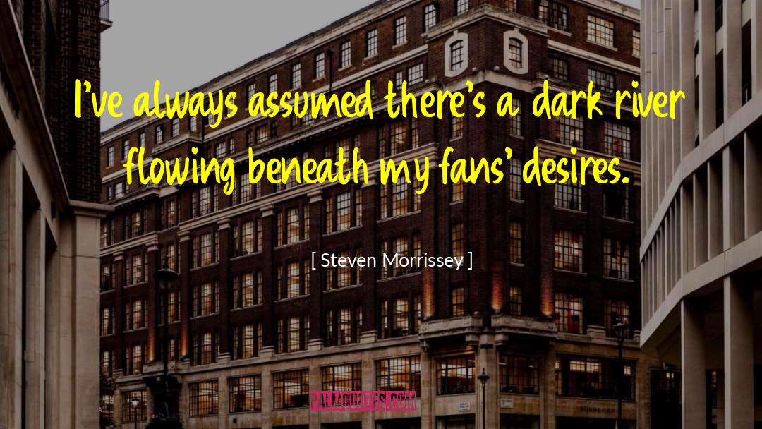 Dark Falls quotes by Steven Morrissey