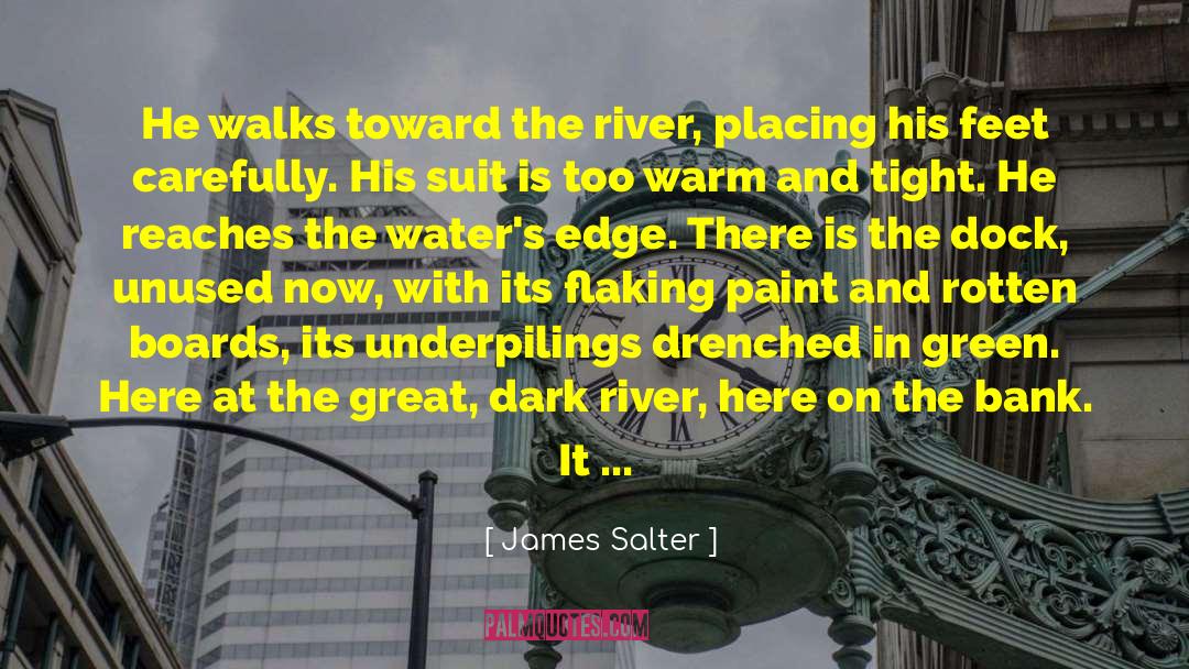 Dark Forces quotes by James Salter