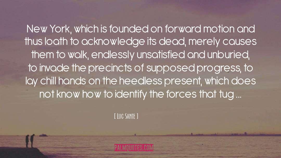 Dark Forces quotes by Luc Sante