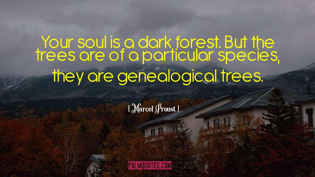 Dark Forest quotes by Marcel Proust
