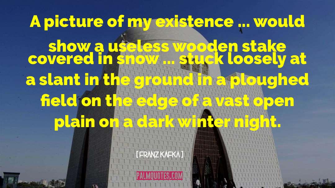 Dark Haven quotes by Franz Kafka