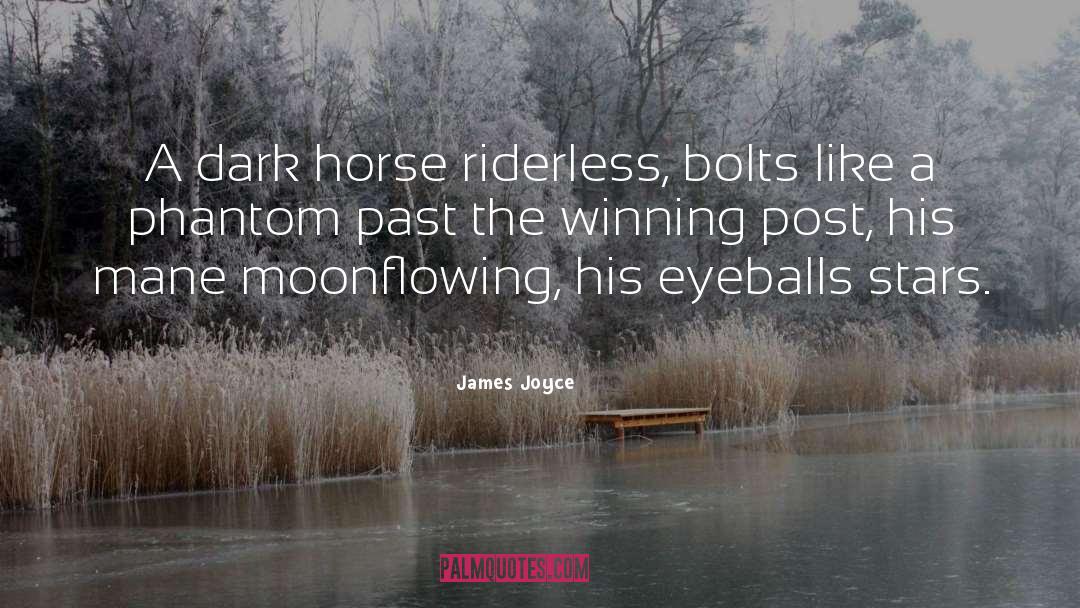 Dark Horse quotes by James Joyce