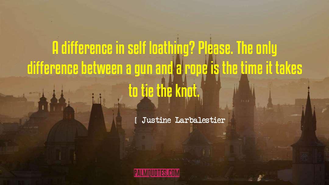 Dark Humor quotes by Justine Larbalestier