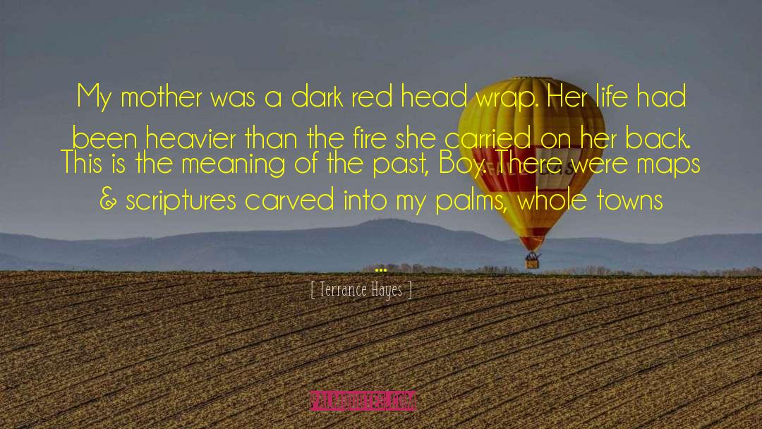 Dark Hunters quotes by Terrance Hayes