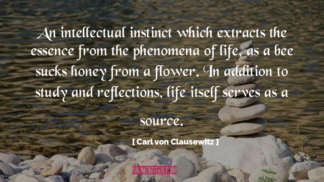 Dark Instinct quotes by Carl Von Clausewitz