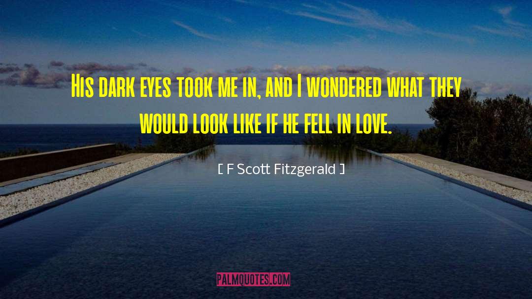 Dark Kiss quotes by F Scott Fitzgerald