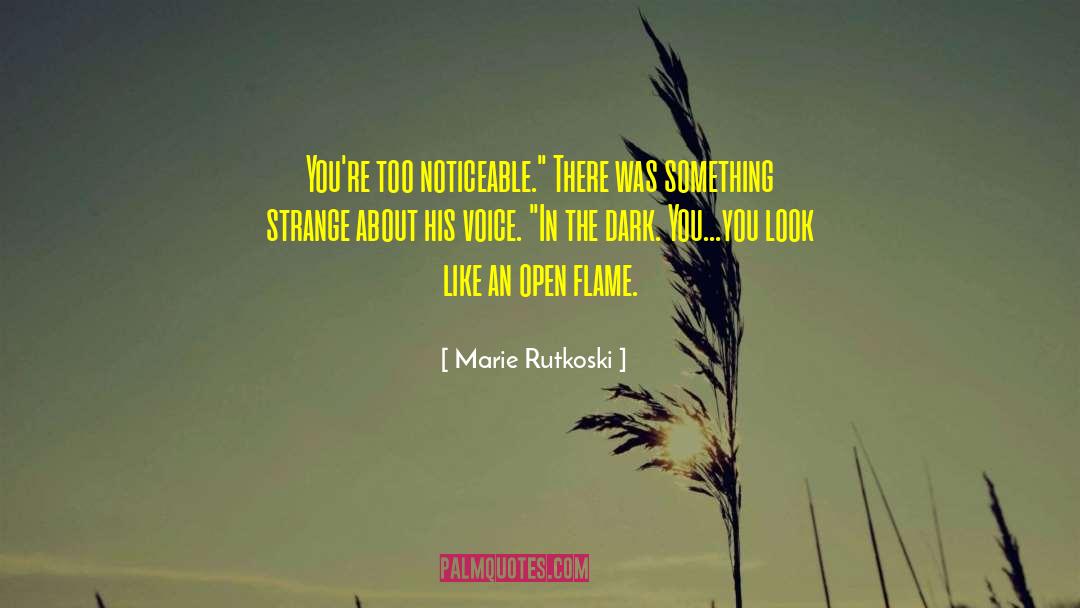 Dark Kiss quotes by Marie Rutkoski