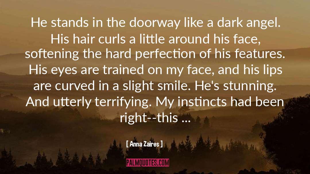 Dark Knight quotes by Anna Zaires