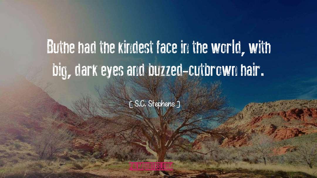 Dark Knight quotes by S.C. Stephens