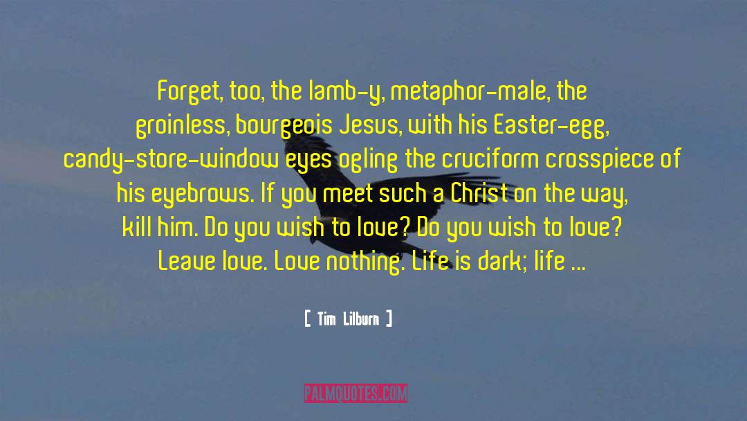 Dark Life quotes by Tim Lilburn