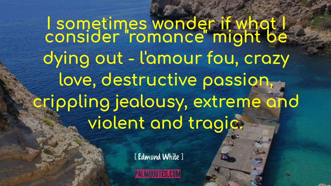 Dark Love quotes by Edmund White