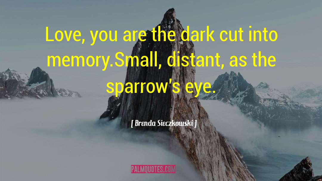 Dark Love Story quotes by Brenda Sieczkowski