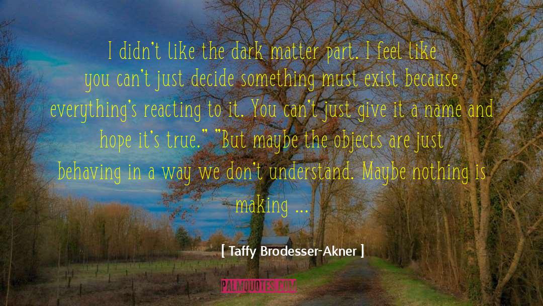 Dark Matter quotes by Taffy Brodesser-Akner