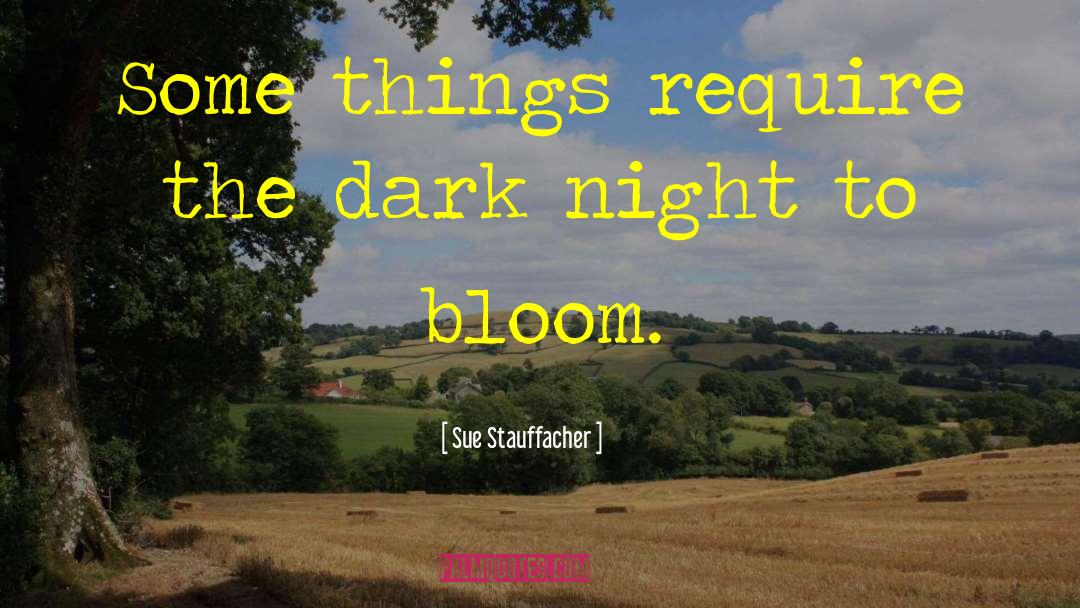 Dark Night quotes by Sue Stauffacher