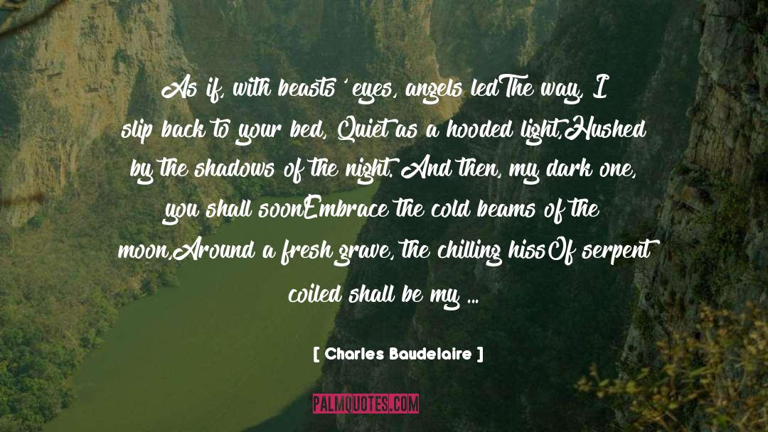 Dark One quotes by Charles Baudelaire