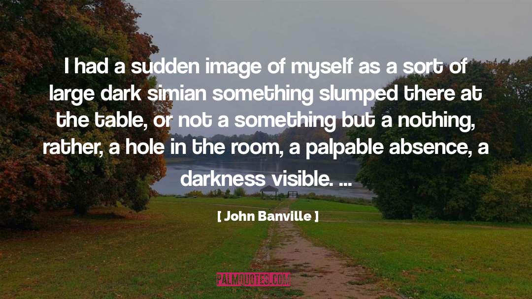 Dark Passions quotes by John Banville