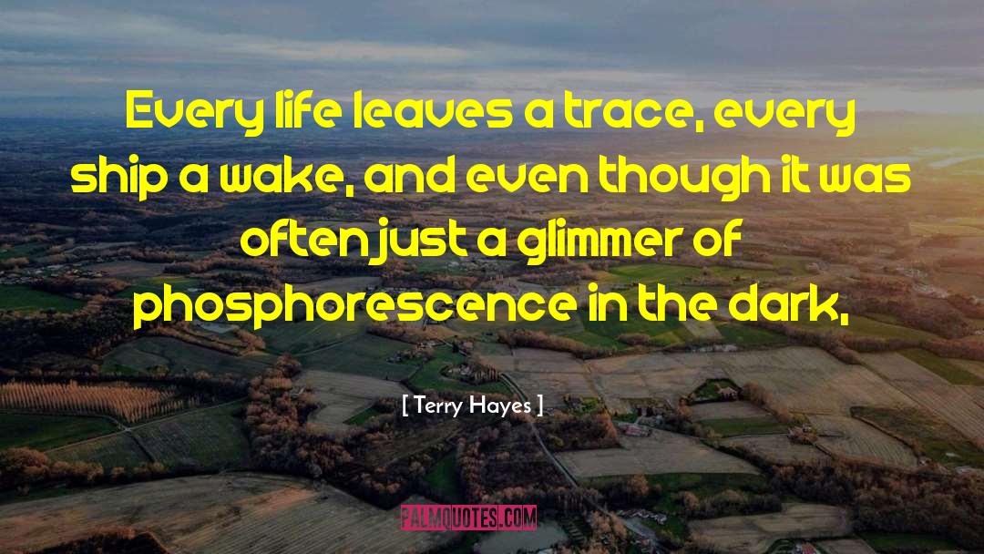 Dark Poetry quotes by Terry Hayes