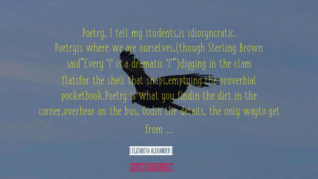 Dark Poetry quotes by Elizabeth Alexander