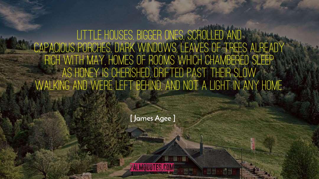 Dark Power quotes by James Agee