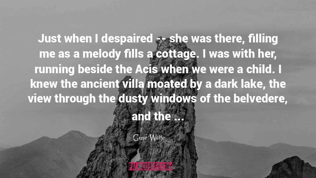 Dark quotes by Gene Wolfe