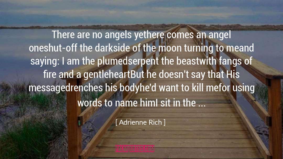Dark Retelling quotes by Adrienne Rich
