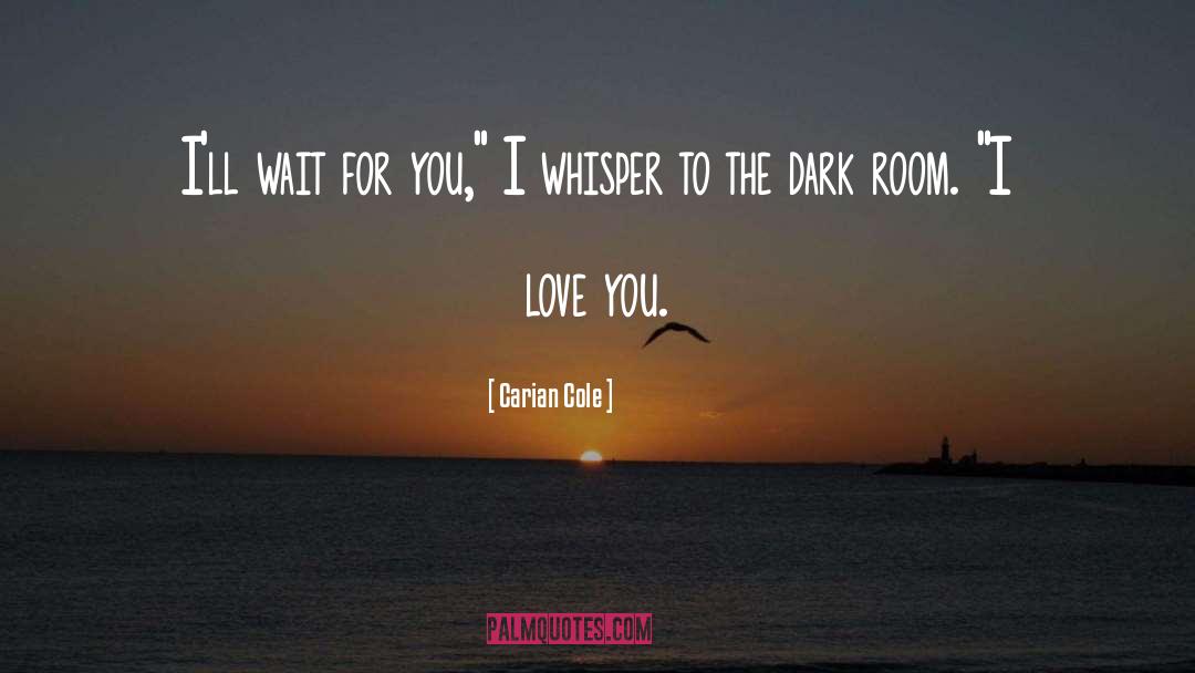 Dark Room quotes by Carian Cole