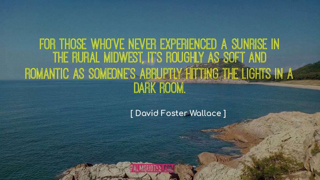 Dark Room quotes by David Foster Wallace