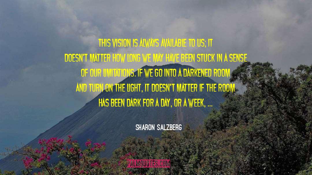 Dark Scenery quotes by Sharon Salzberg