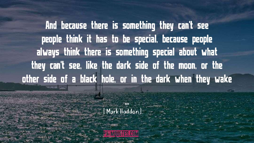 Dark Side quotes by Mark Haddon