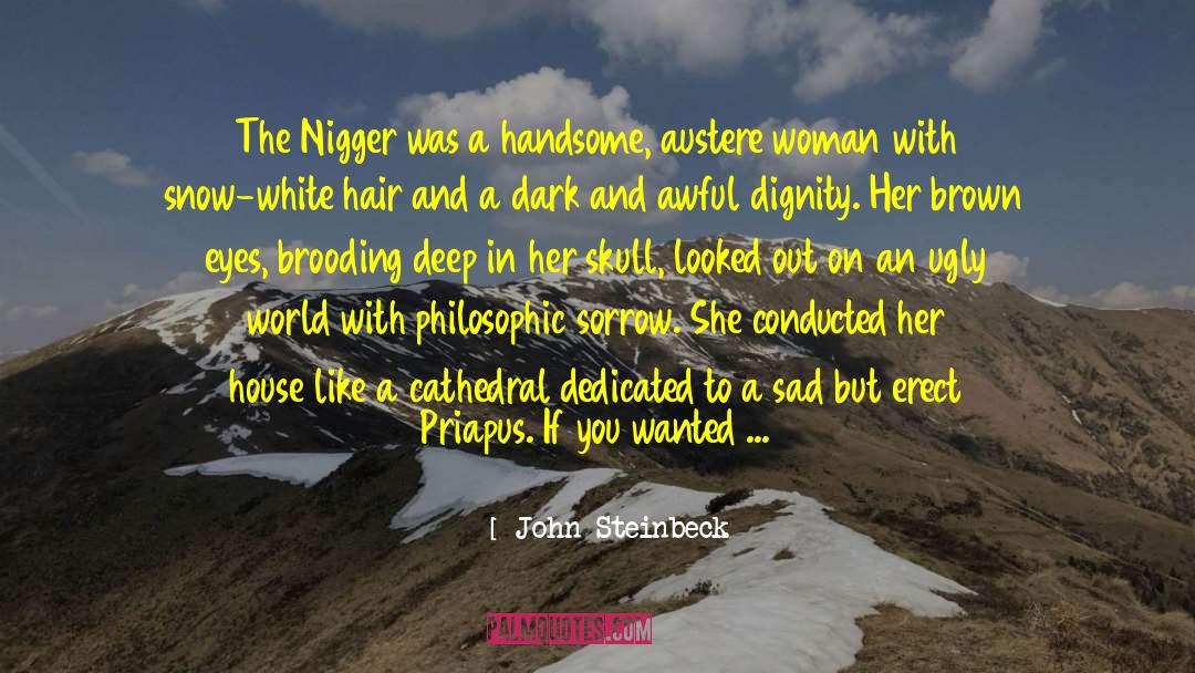 Dark Skin quotes by John Steinbeck