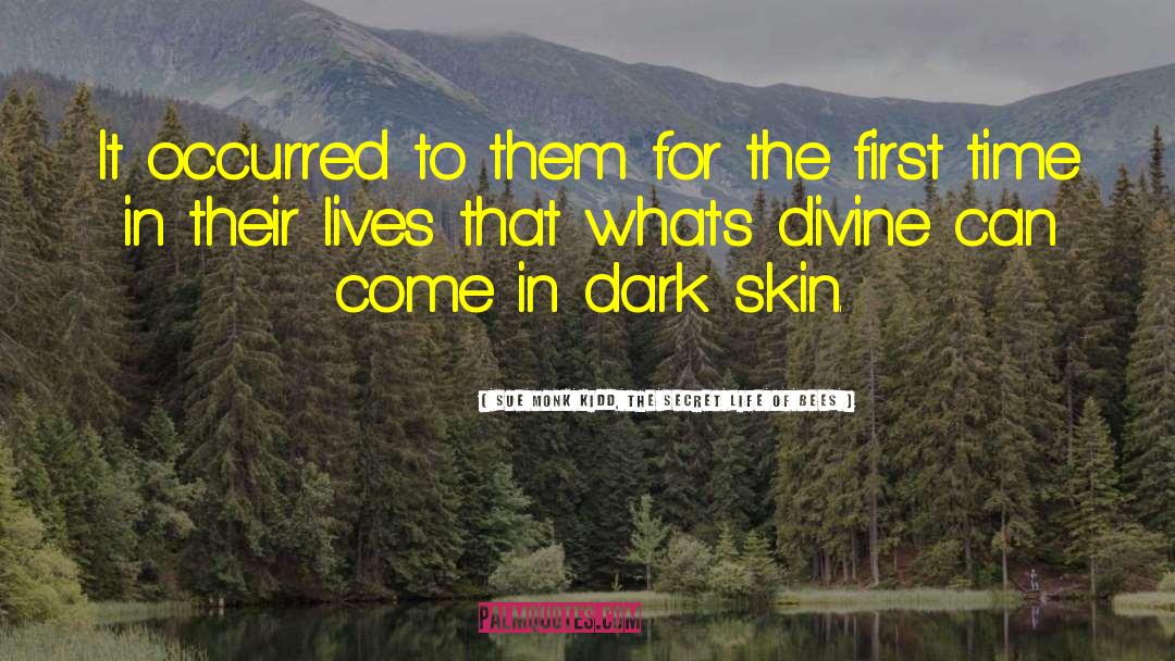 Dark Skin quotes by Sue Monk Kidd, The Secret Life Of Bees