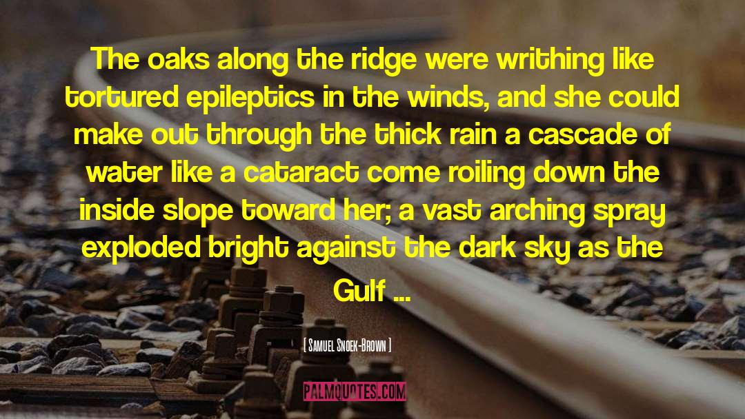 Dark Sky quotes by Samuel Snoek-Brown