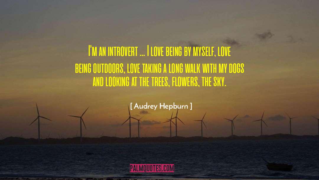 Dark Sky quotes by Audrey Hepburn