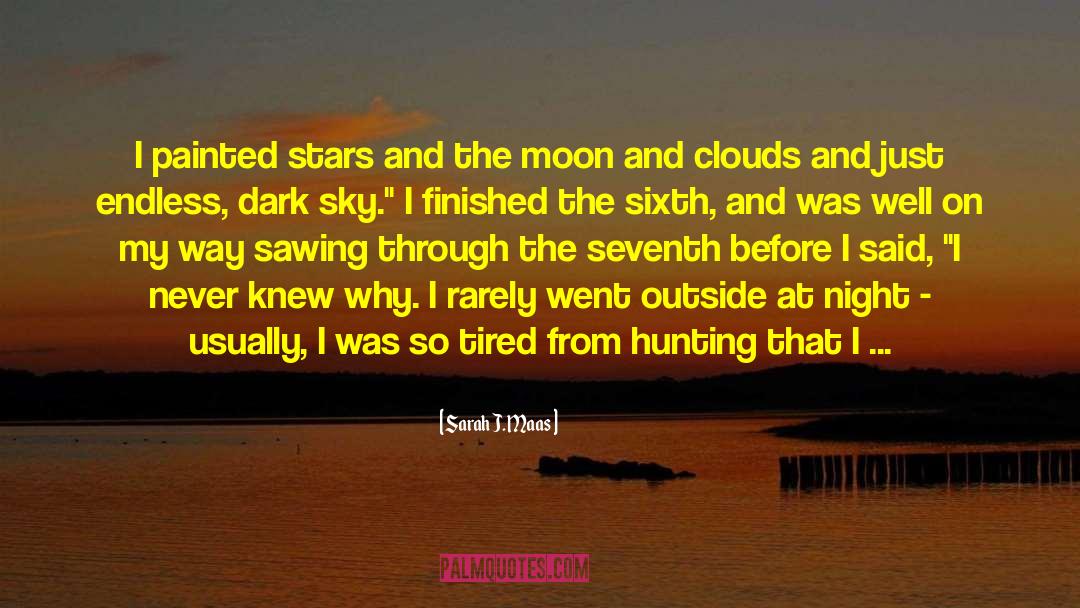 Dark Sky quotes by Sarah J. Maas