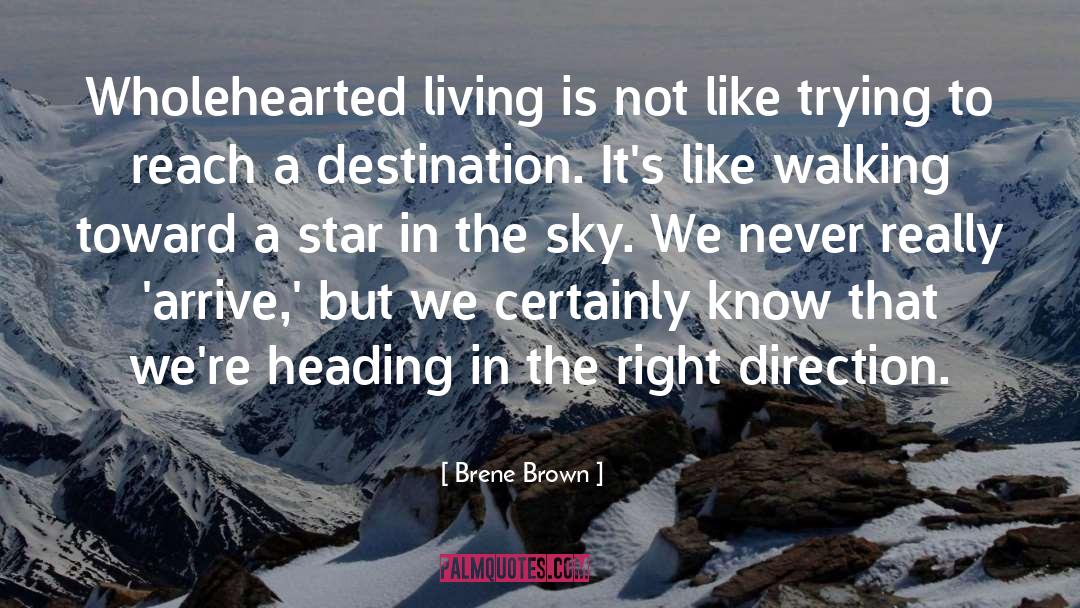 Dark Sky quotes by Brene Brown