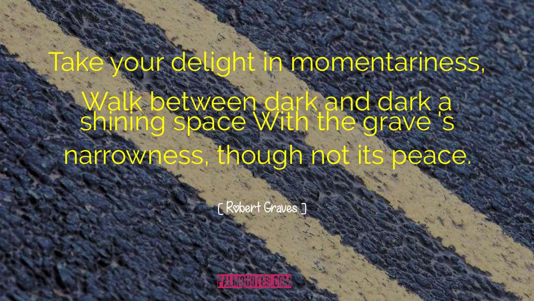Dark Space quotes by Robert Graves