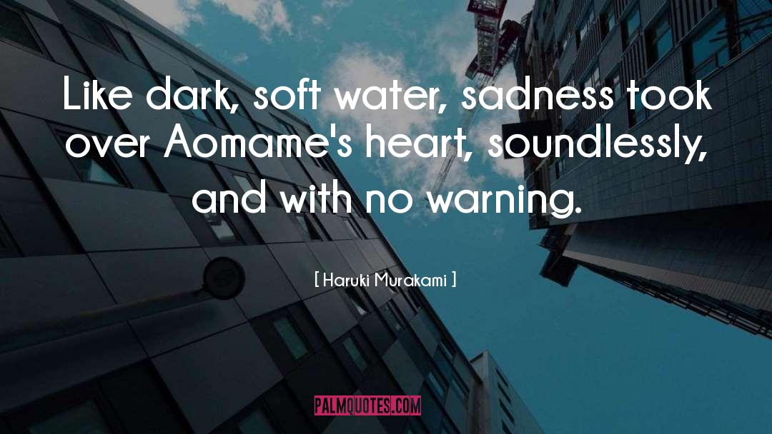 Dark Spring quotes by Haruki Murakami