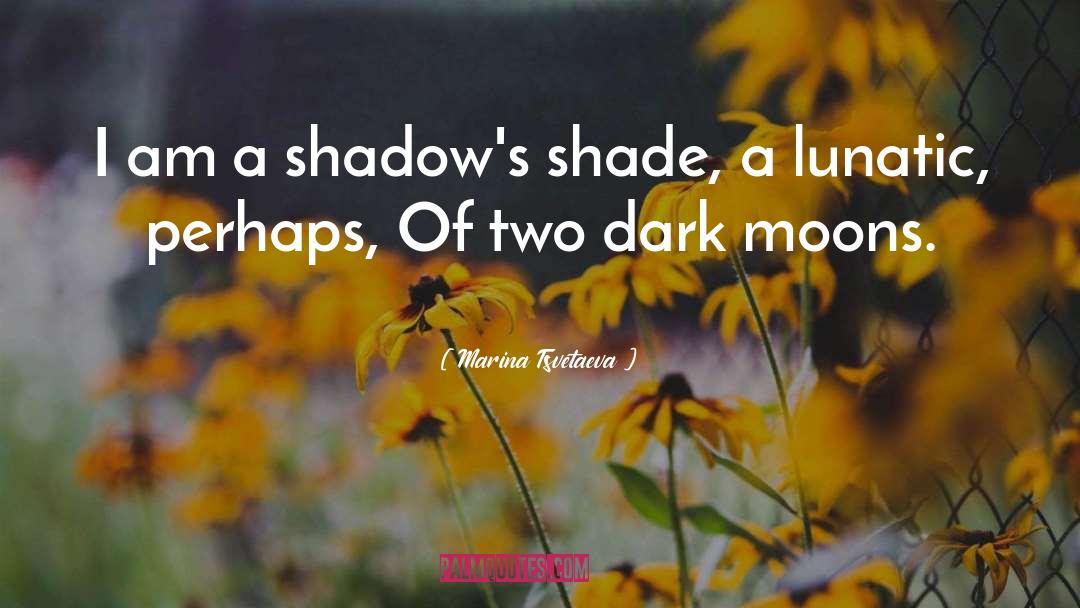 Dark Streets quotes by Marina Tsvetaeva