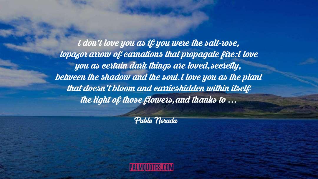Dark Things quotes by Pablo Neruda
