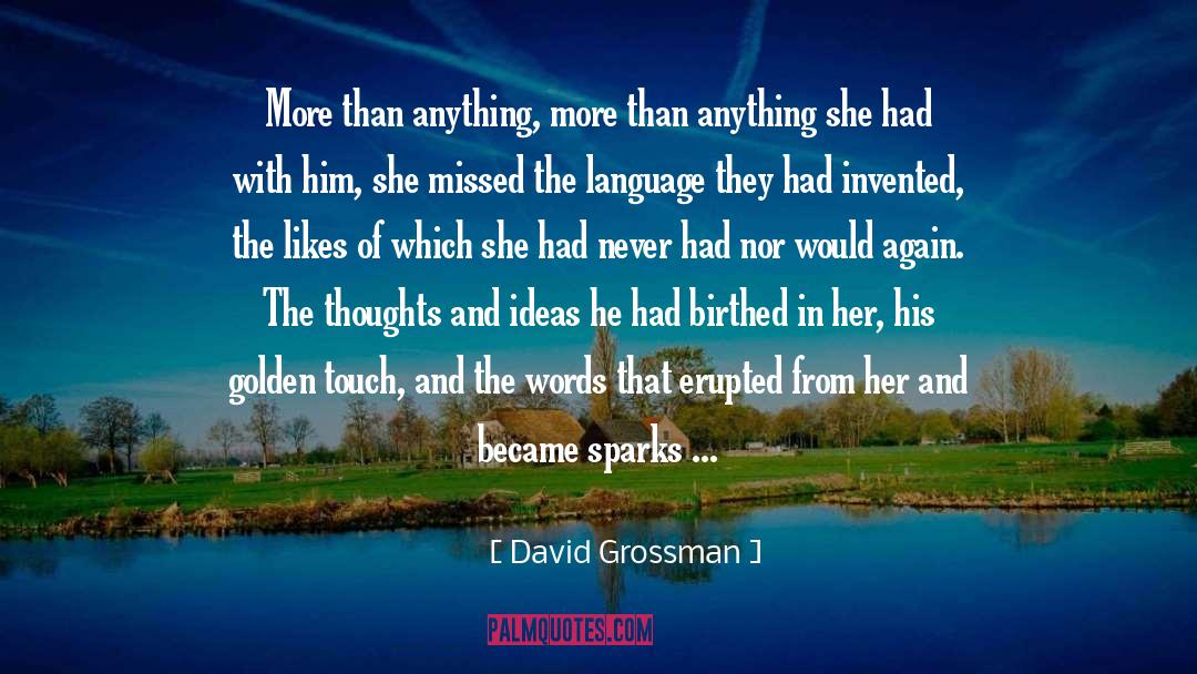 Dark Thoughts quotes by David Grossman