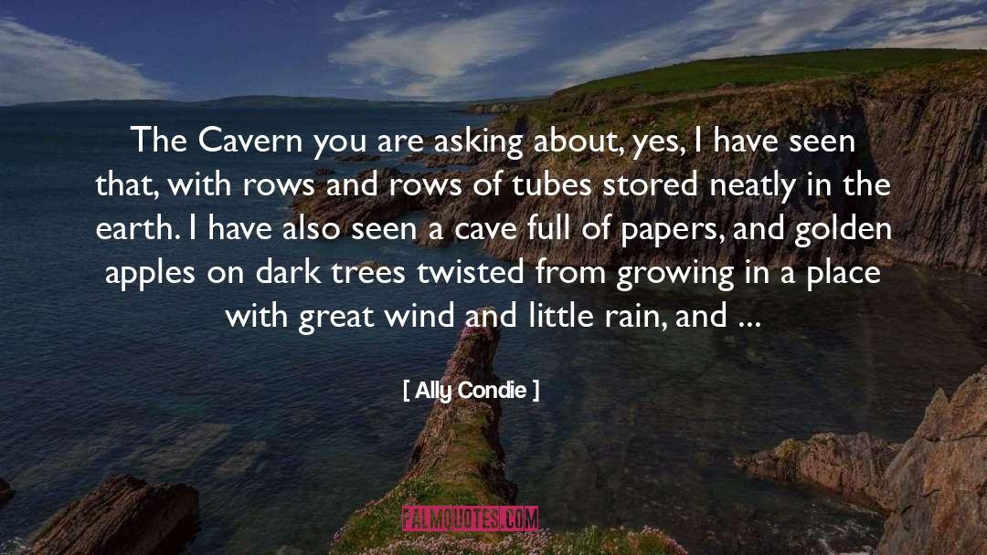 Dark Trees quotes by Ally Condie