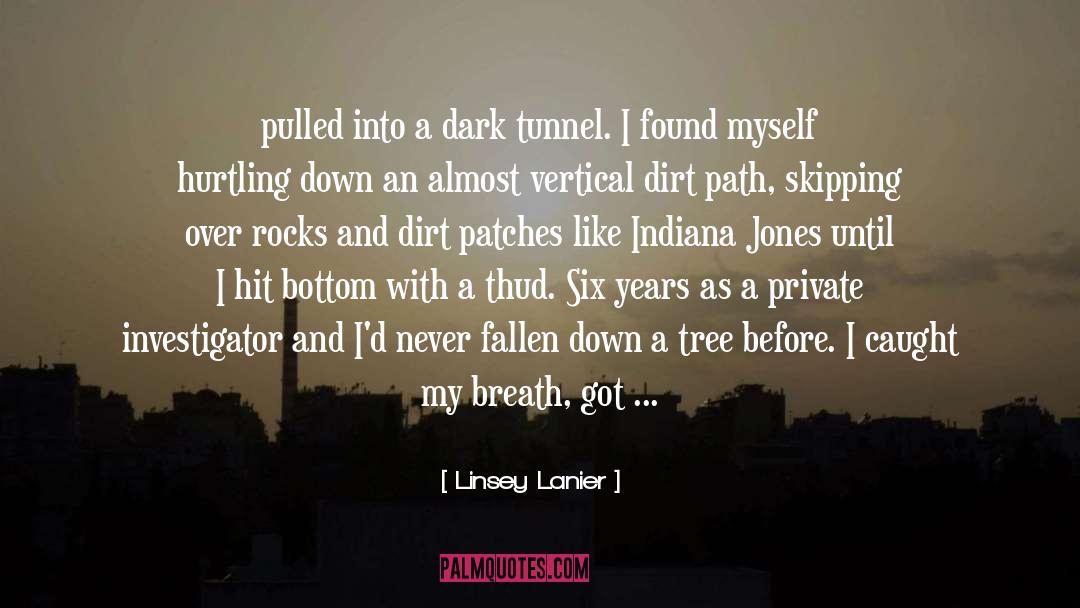 Dark Tunnel quotes by Linsey Lanier