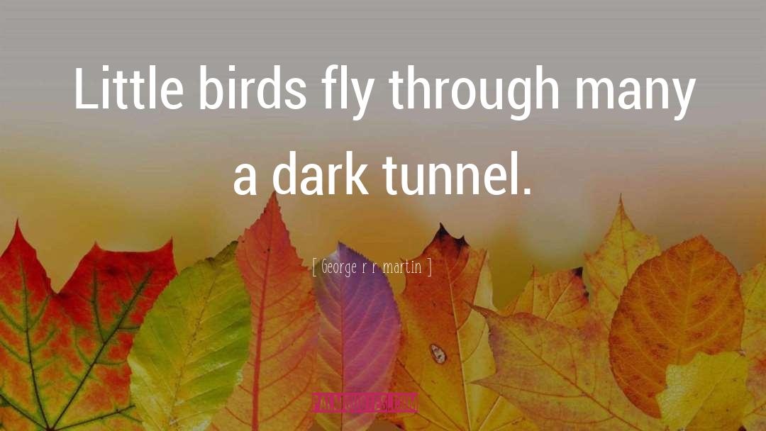 Dark Tunnel quotes by George R R Martin