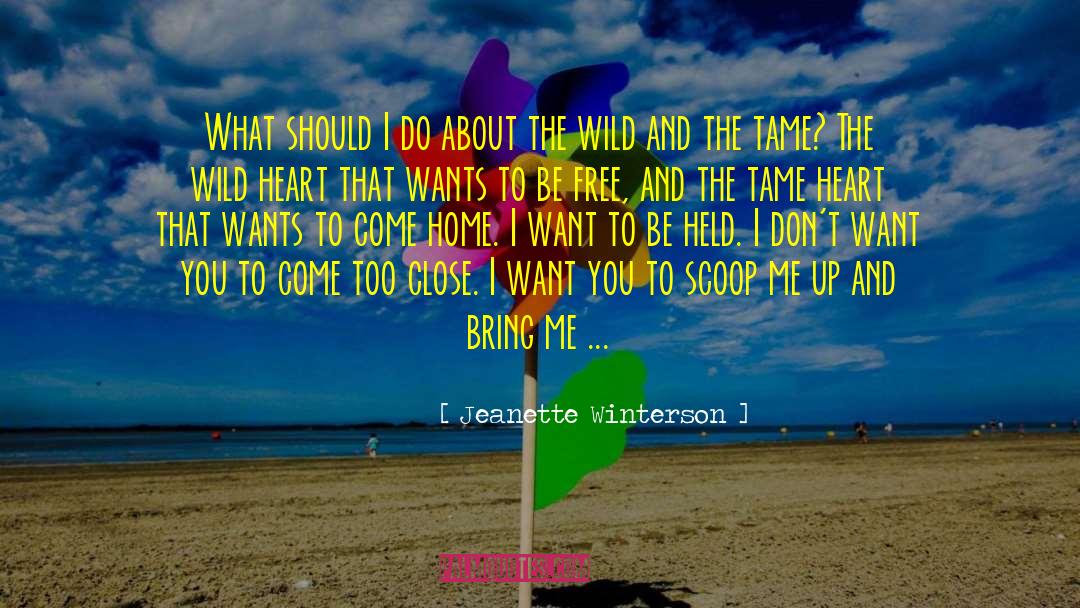 Dark Warrior To Tame A Wild Hawk quotes by Jeanette Winterson