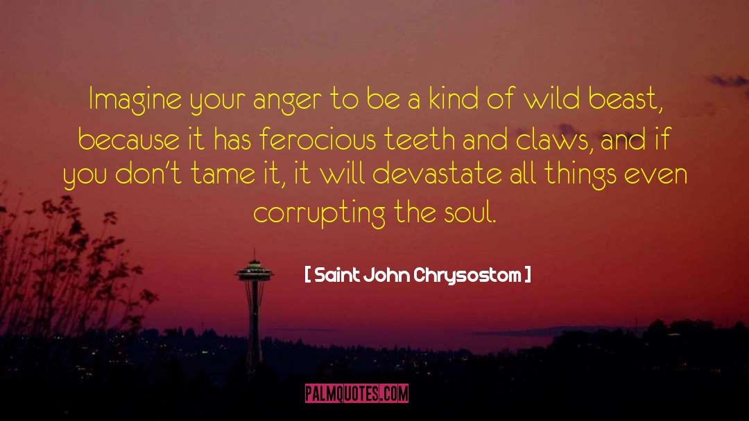 Dark Warrior To Tame A Wild Hawk quotes by Saint John Chrysostom